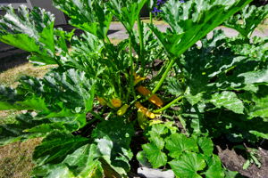  Photo 44