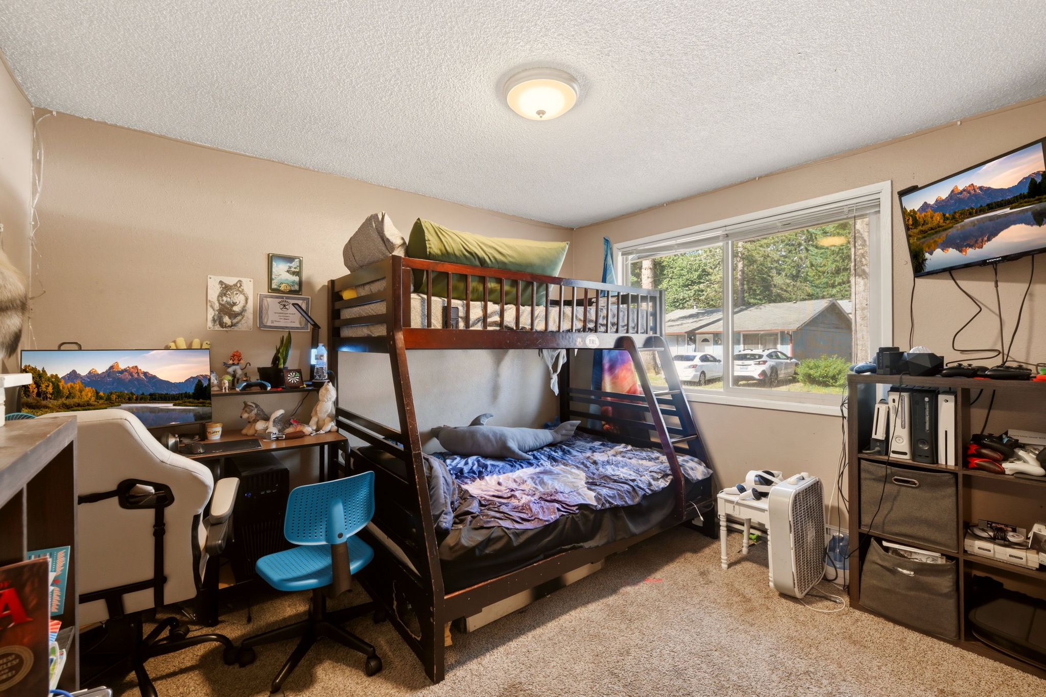 Photo 15