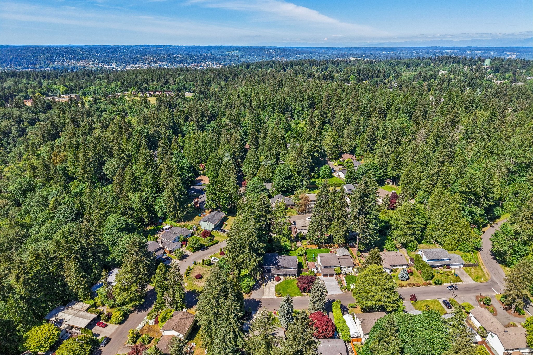 NE 138th St-S2805-080.jpg