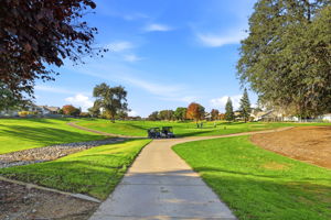 026_F8_7016 Mule Team Way