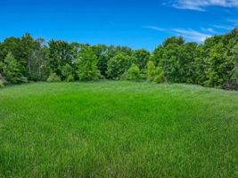  Photo 36