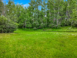  Photo 49