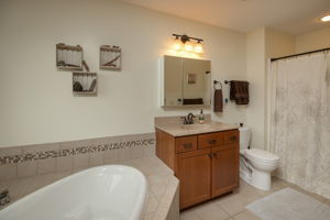 20-Primary Bathroom