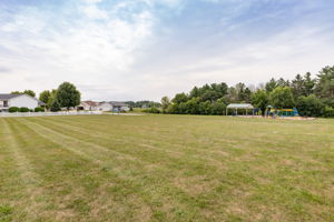 43-Meadowland Park