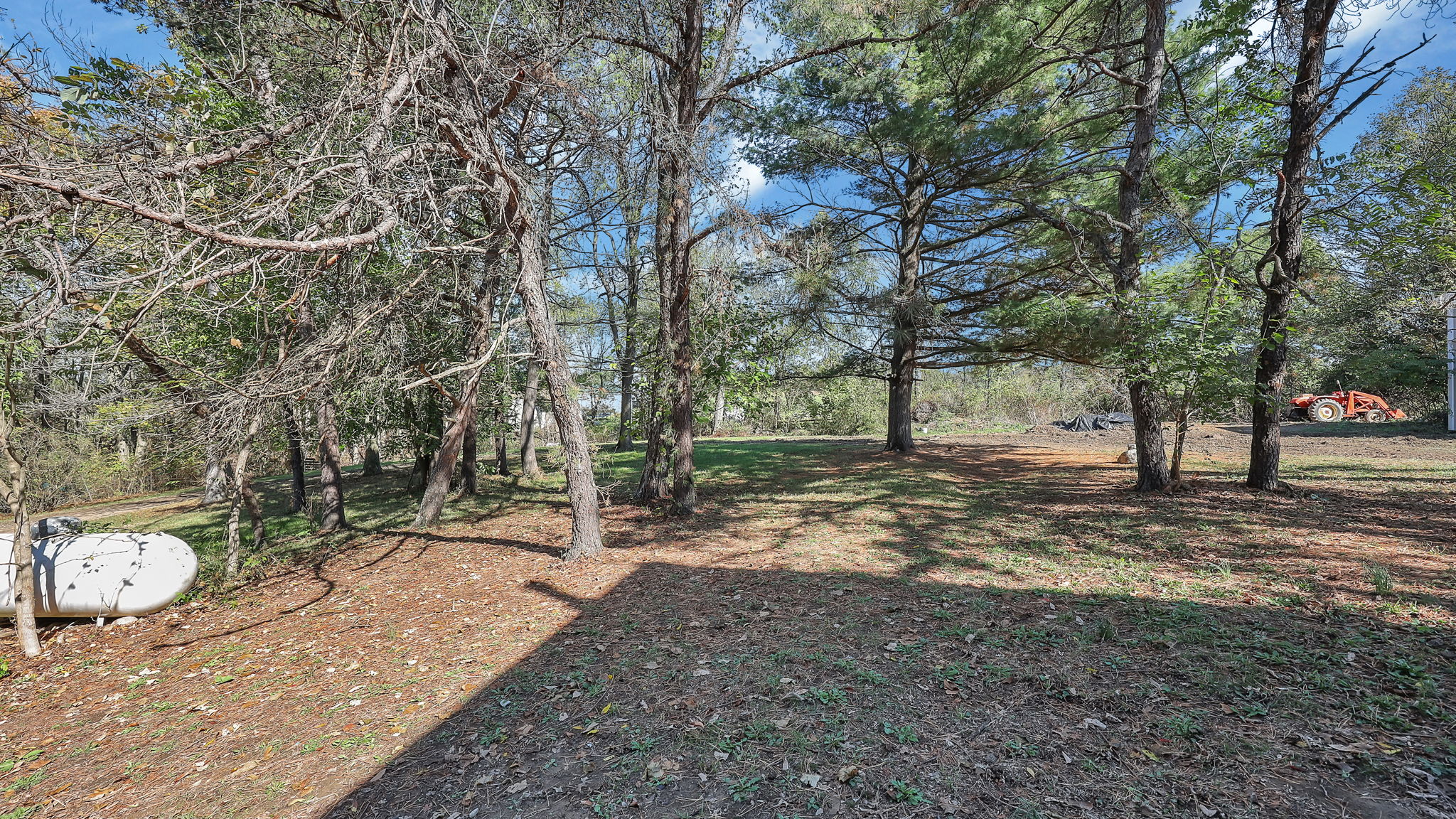 Photo 63