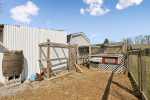  Photo 44