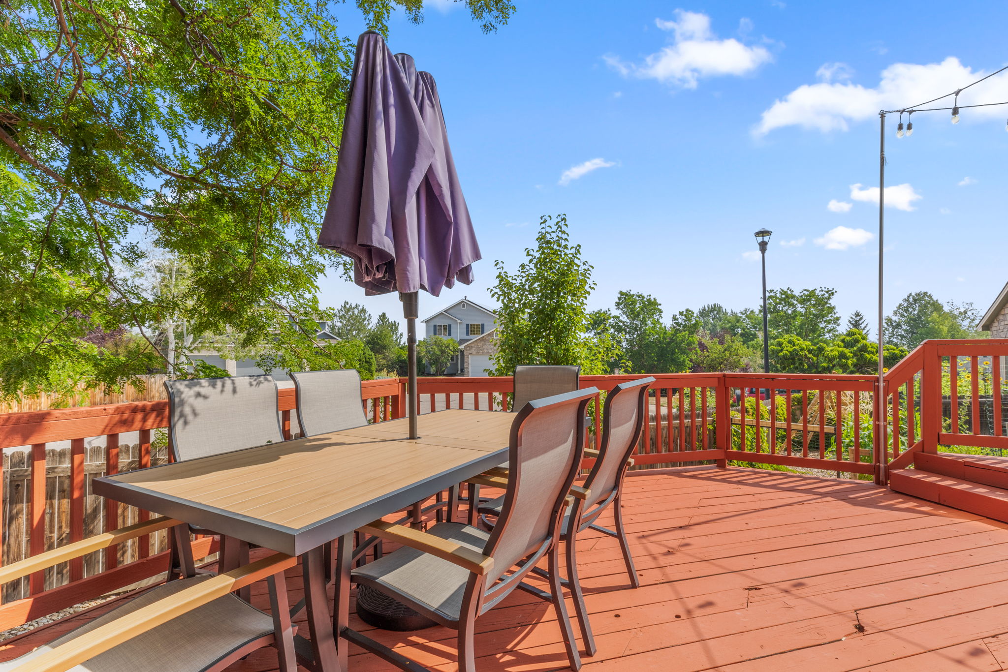  Photo 50