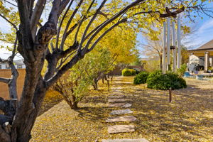 Back Walkway