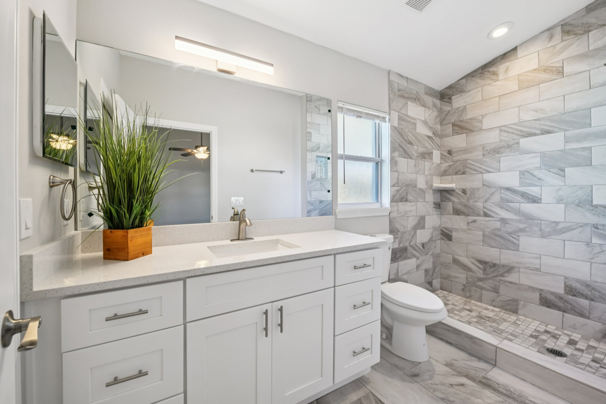 Harvard Ct-S0701-024.jpg