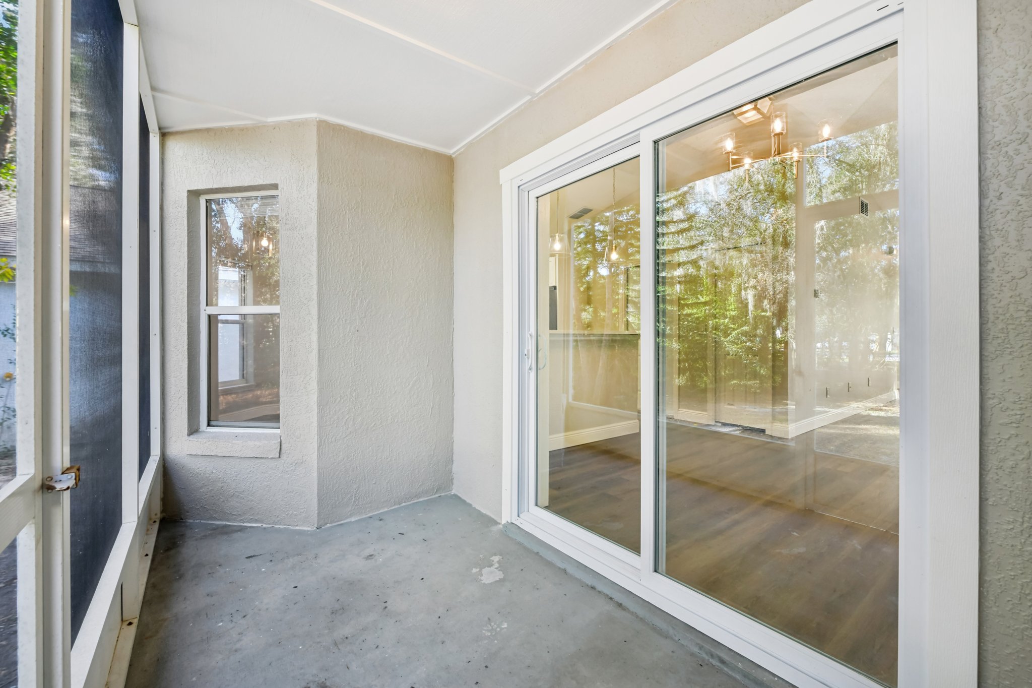 Harvard Ct-S0701-029.jpg