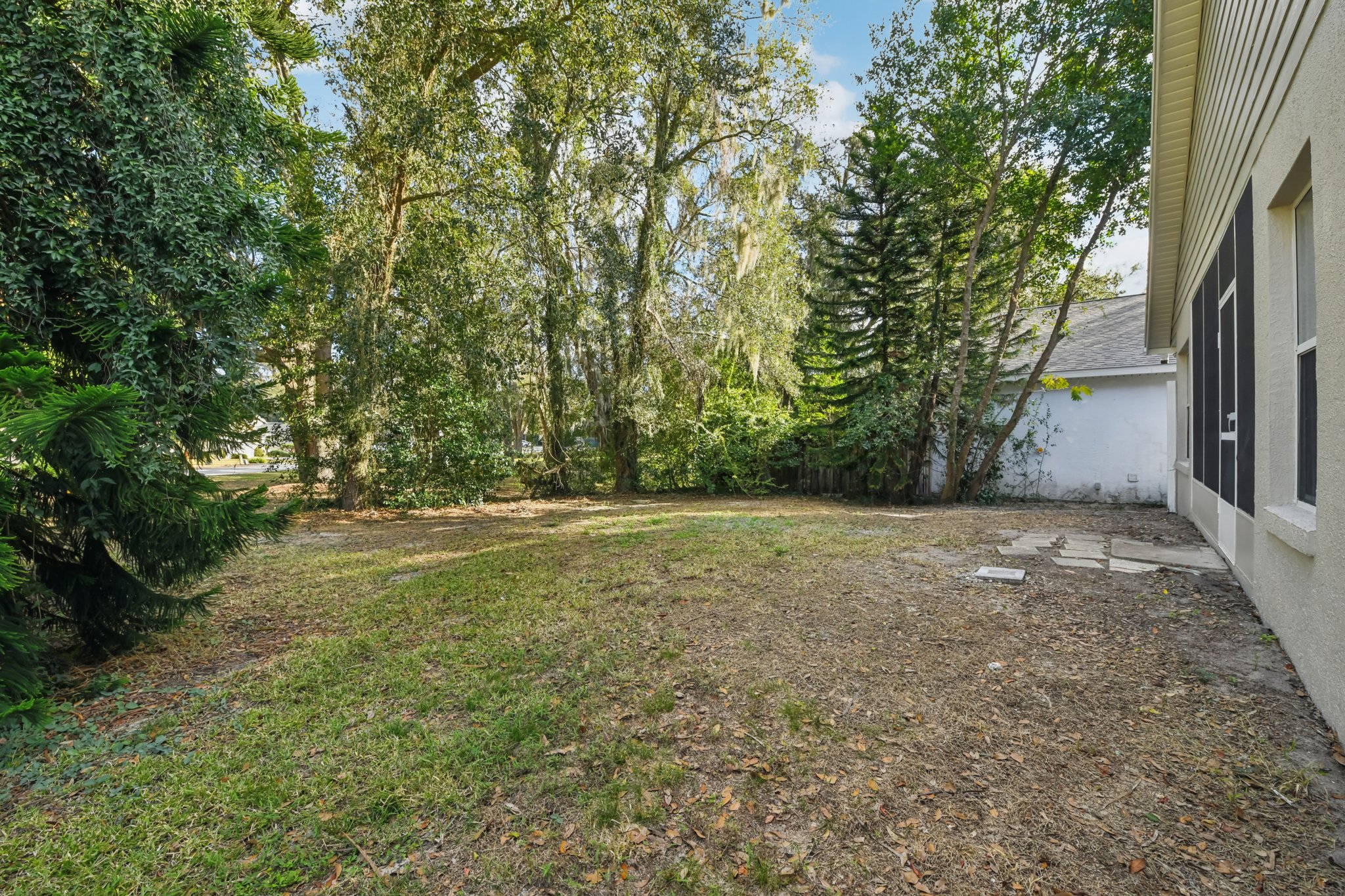 Harvard Ct-S0701-034.jpg