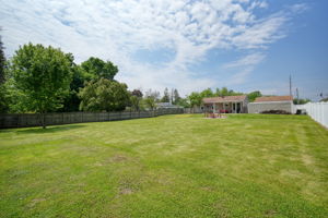  Photo 49