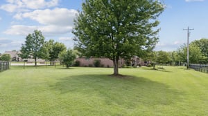 DJI_20260528162645_0091_D.jpg