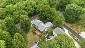 Aerial back view