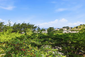 048_F8_704 Alta Vista Dr