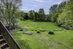 27_Back Yard