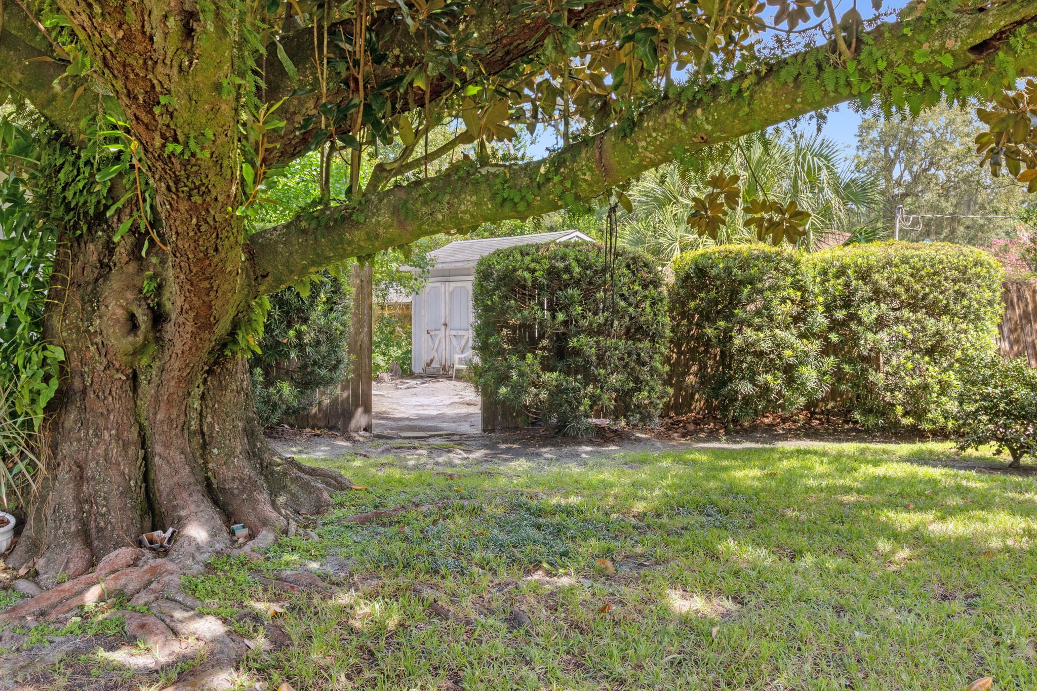 Side Yard