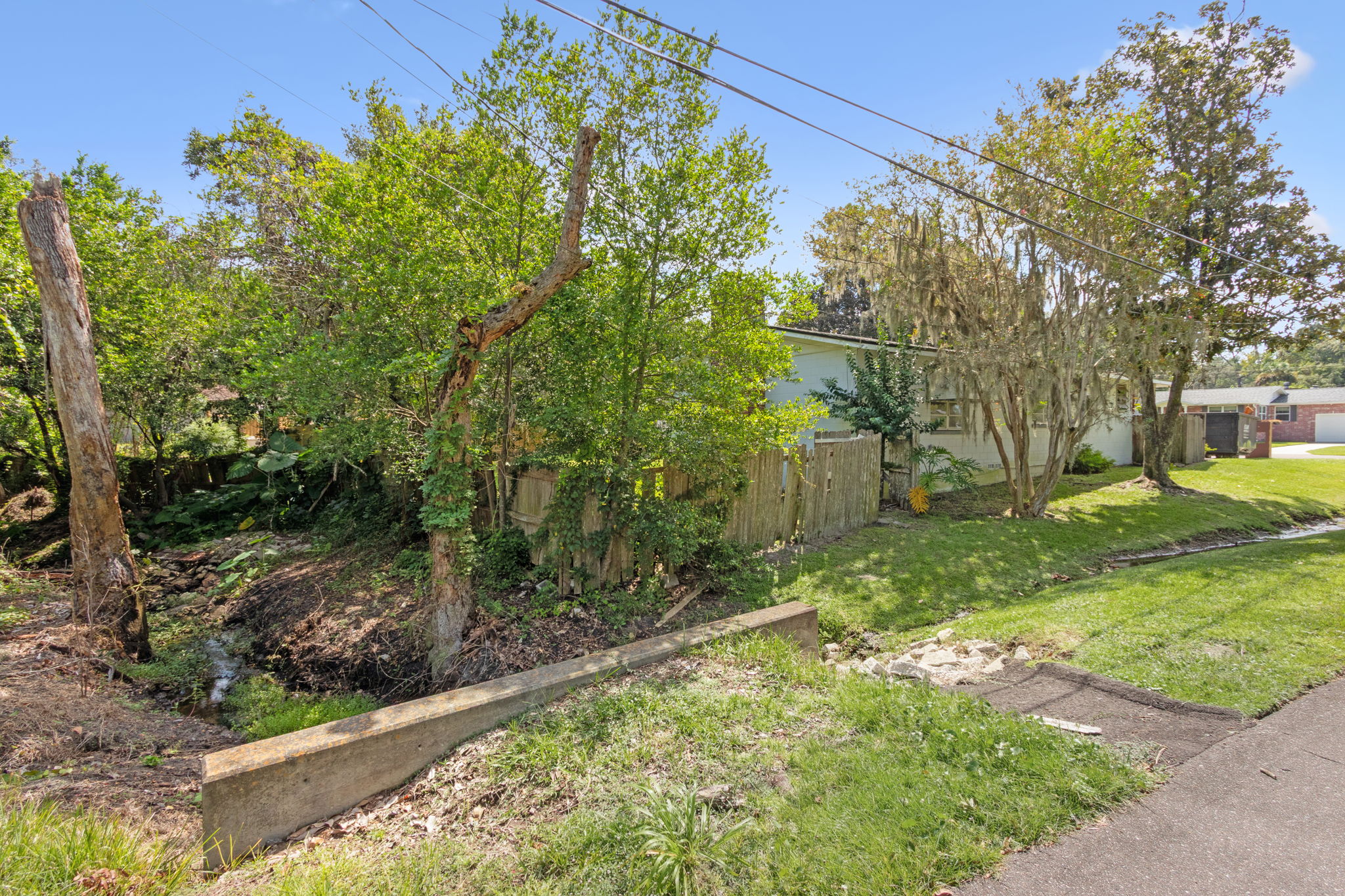 Side Yard