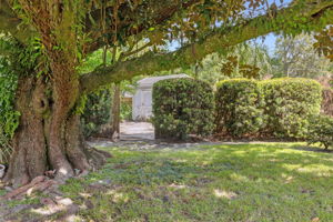 Side Yard
