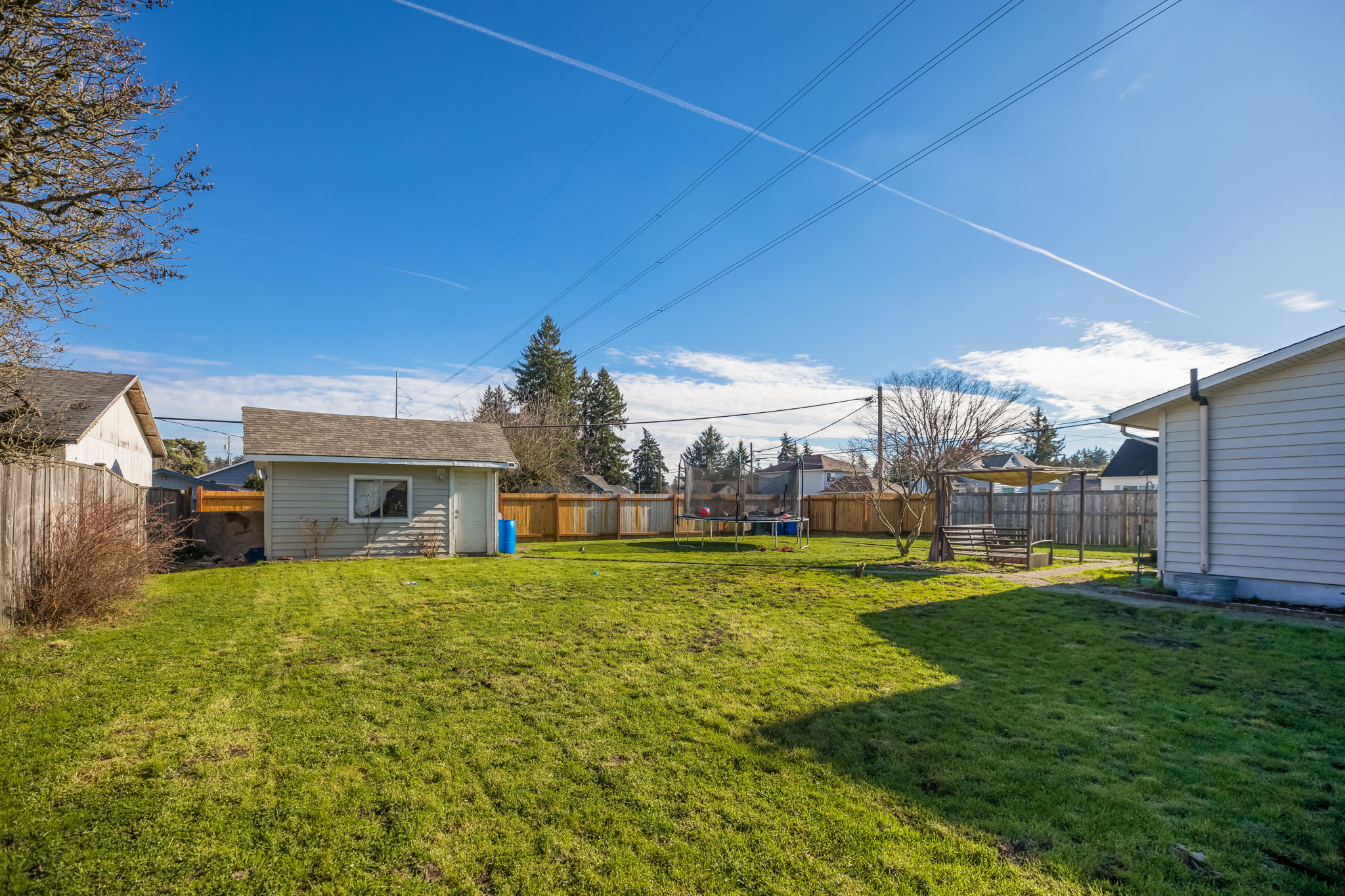 North side yard looking back to the shed.