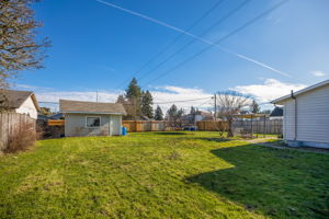 North side yard looking back to the shed.