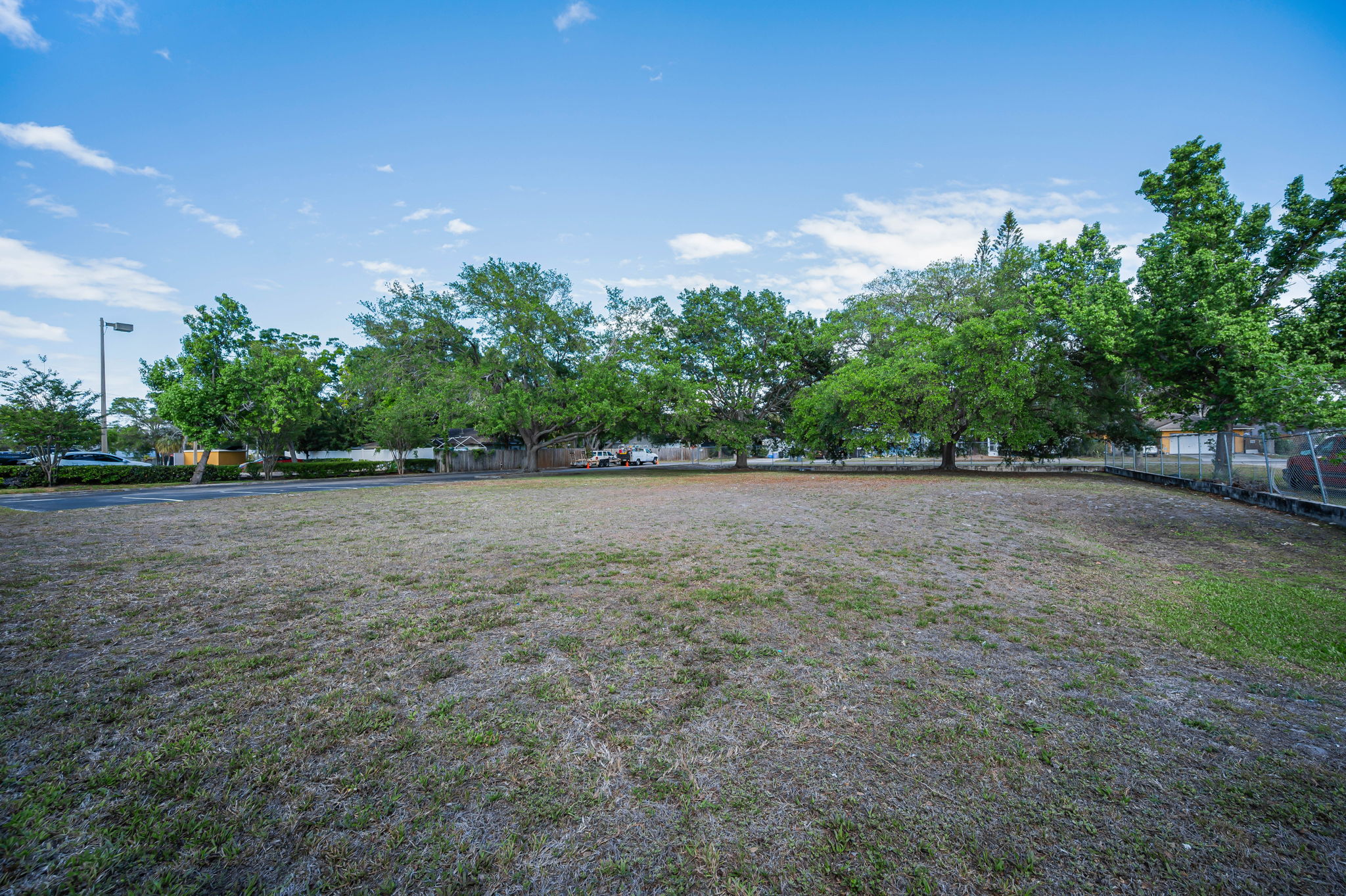 Backyard4