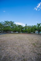 Backyard3
