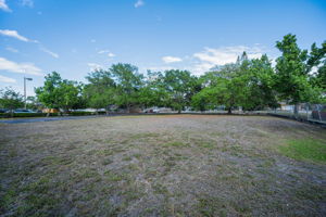 Backyard4