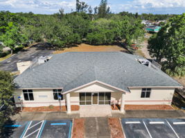Aerial (2)