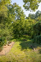 20250910_705glenwood_nassar065