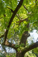20250910_705glenwood_nassar110