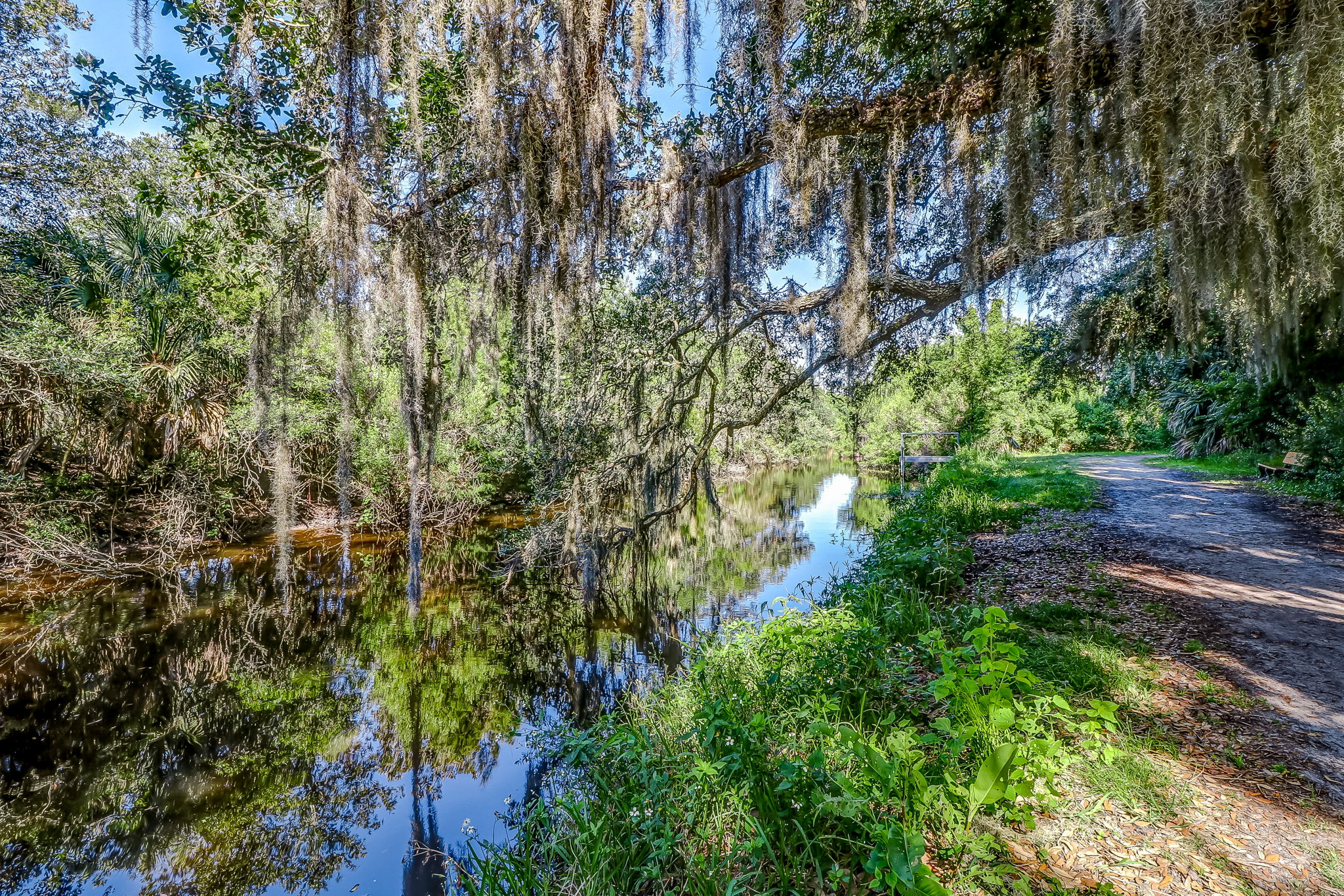 Ron Sapp Egans Creek Greenway