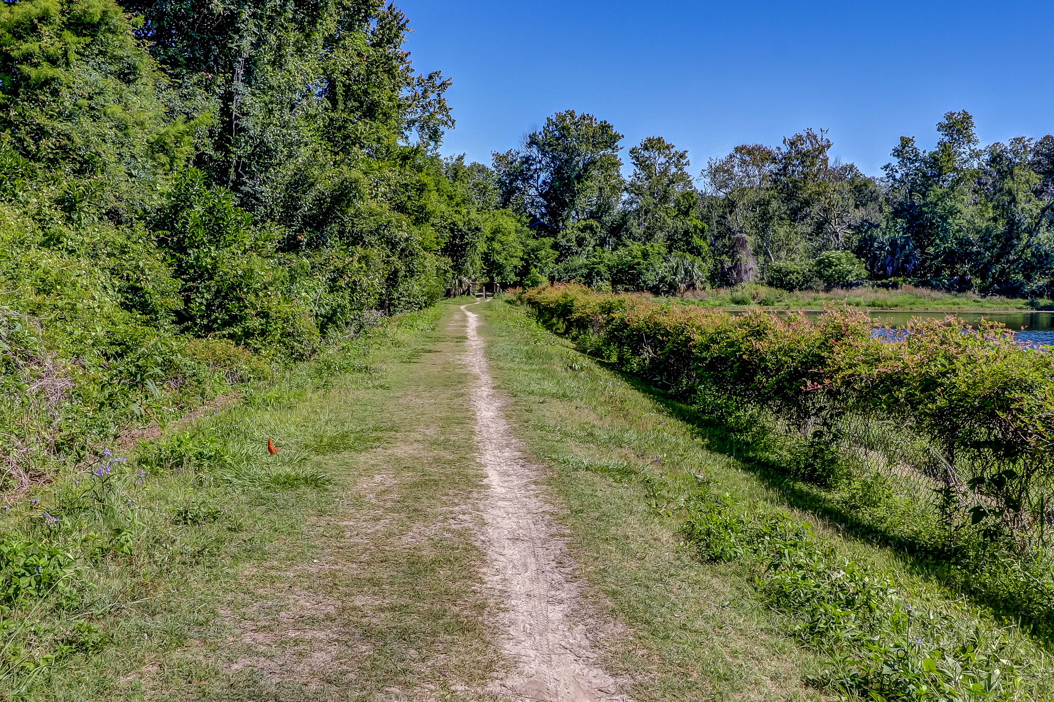 Ron Sapp Egans Creek Greenway
