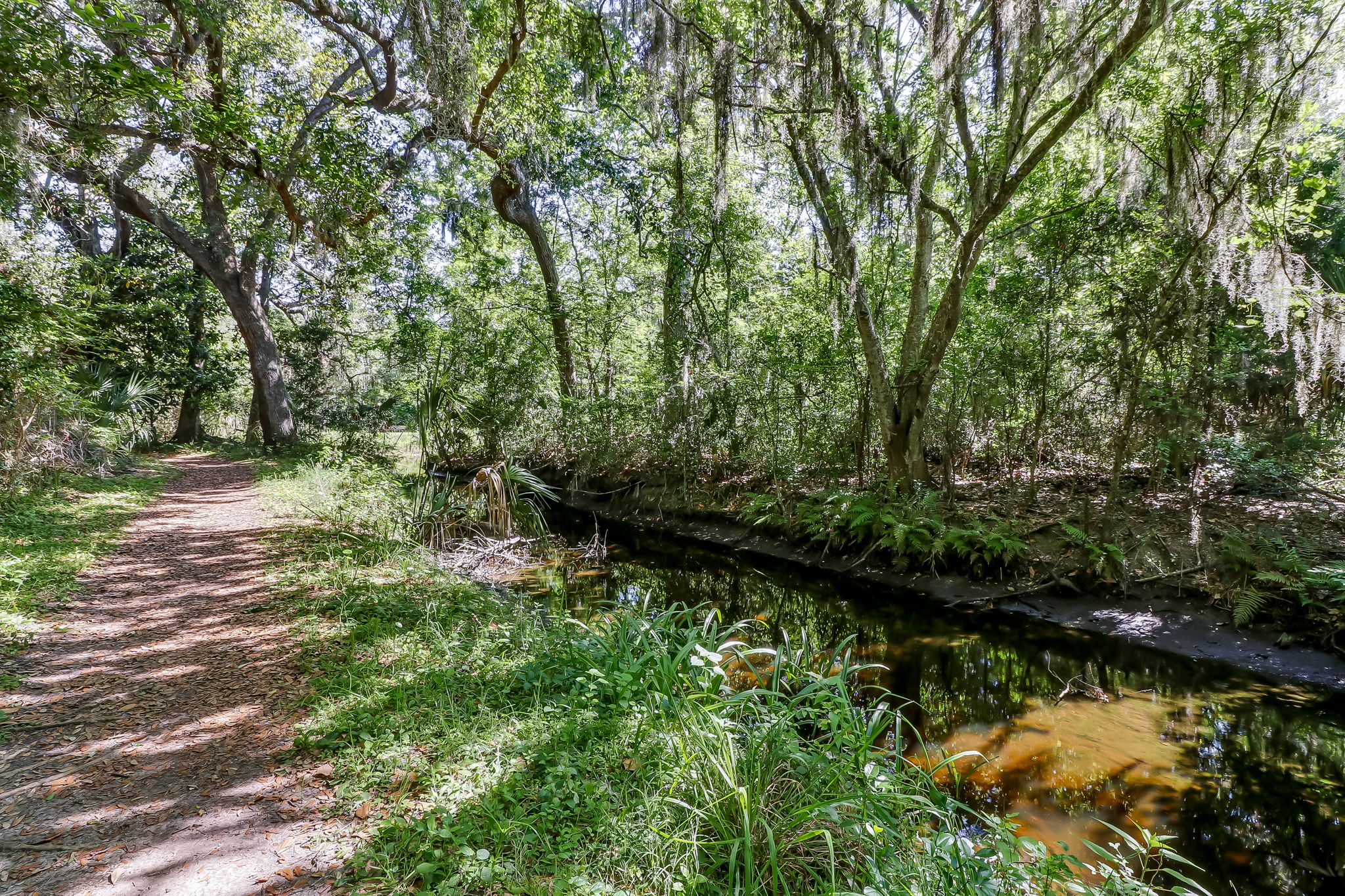 Ron Sapp Egans Creek Greenway