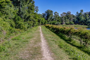 Ron Sapp Egans Creek Greenway