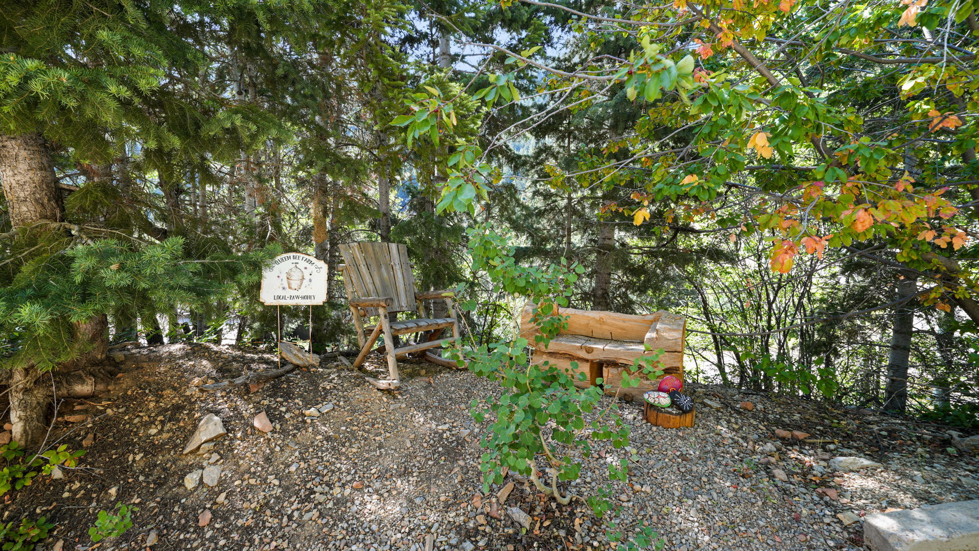  Photo 45