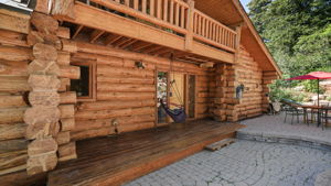  Photo 41