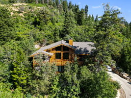  Photo 0