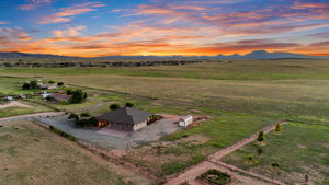 Aerial (6)