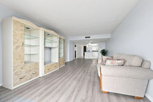 Living Room11