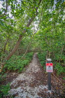 Kayak Trail