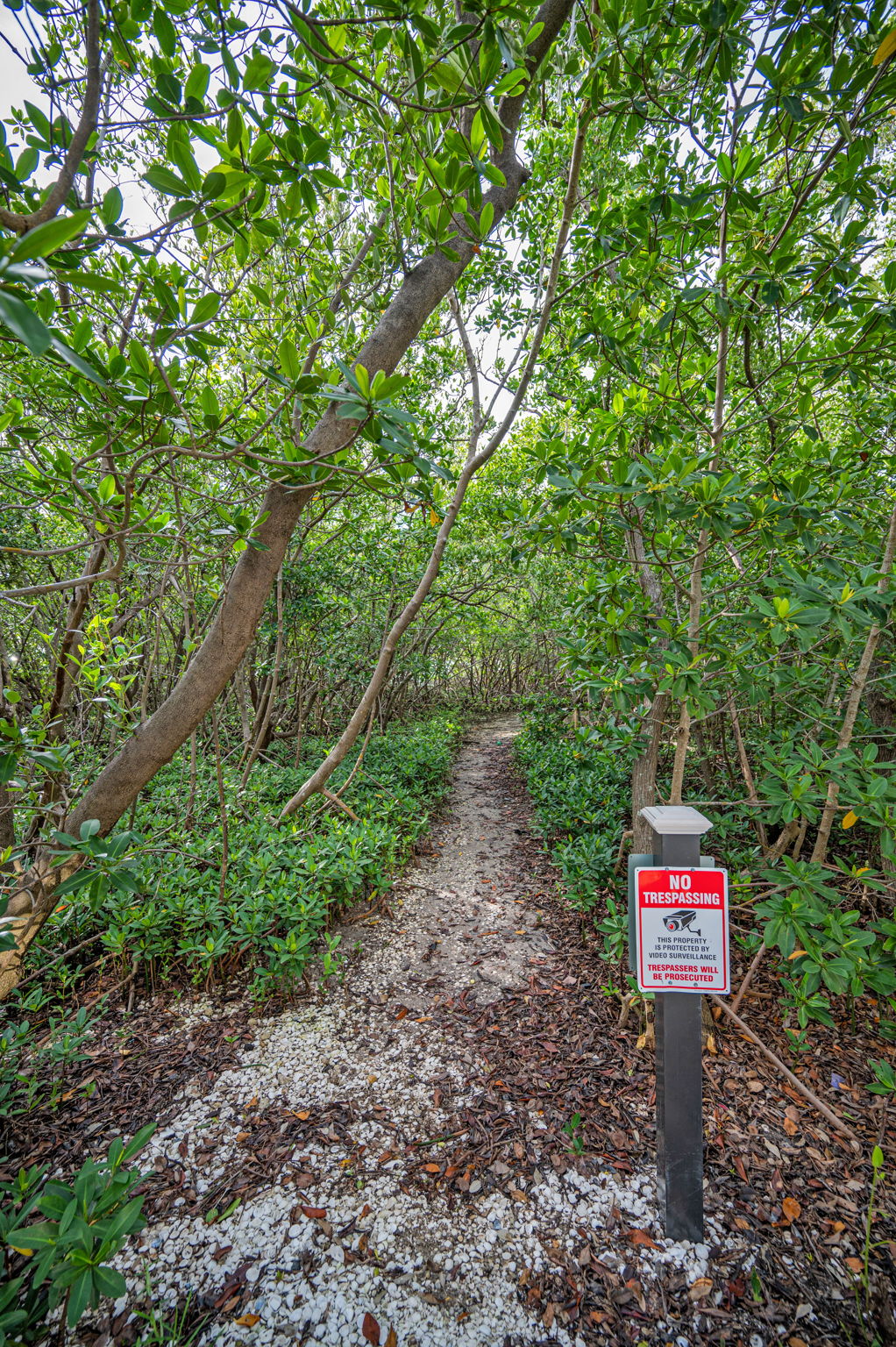 Kayak Trail