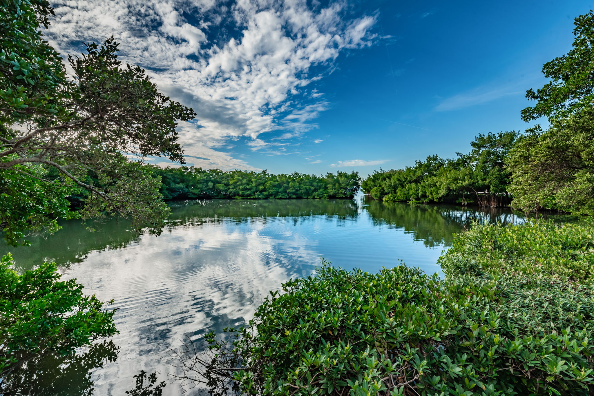 Water View2