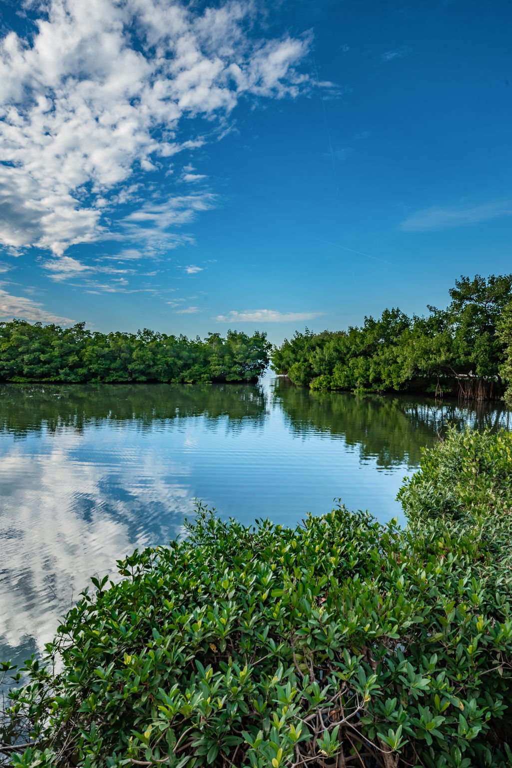 Water View4