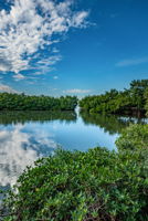 Water View4