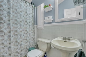  Photo 47