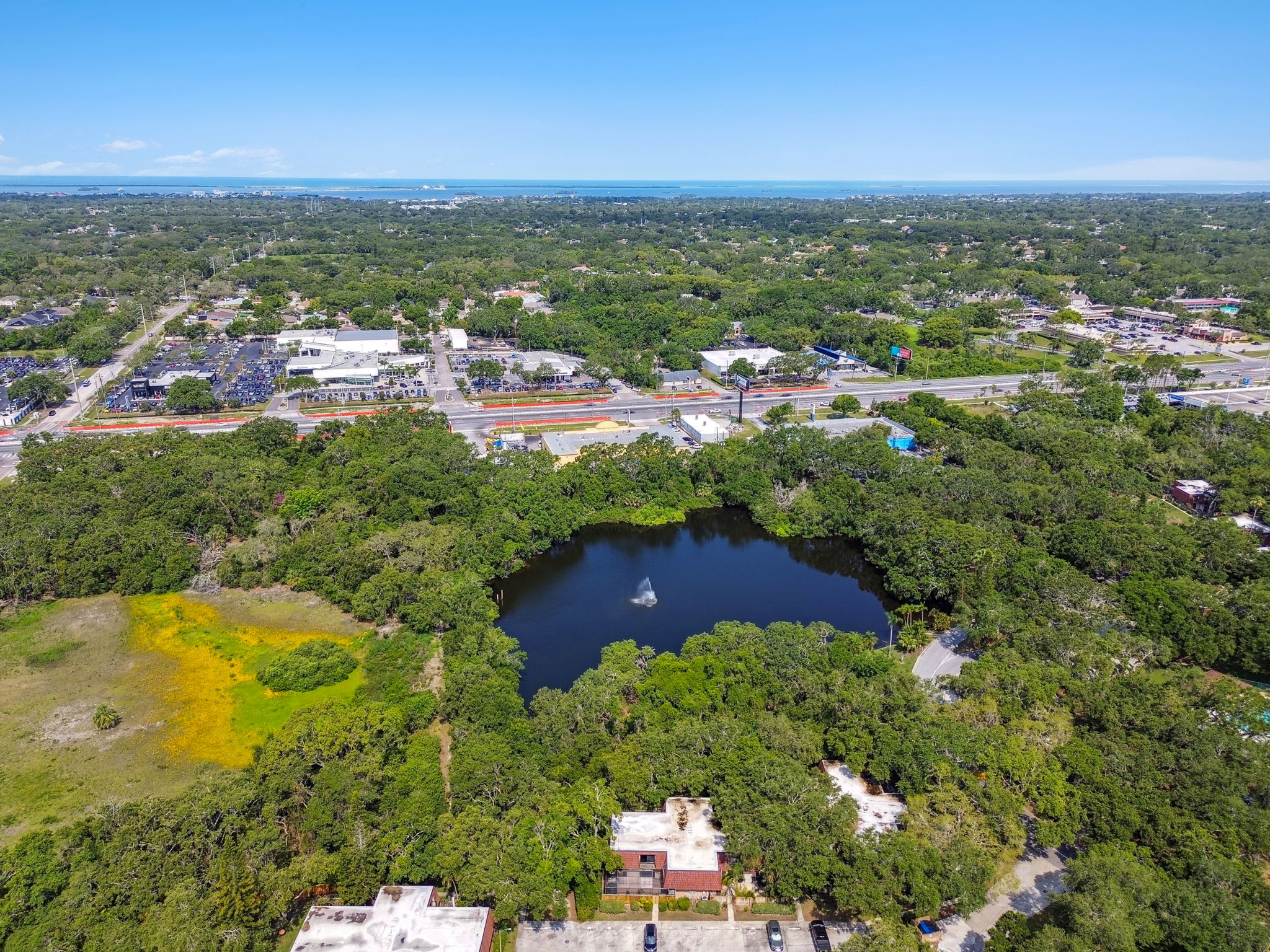 DJI_0394