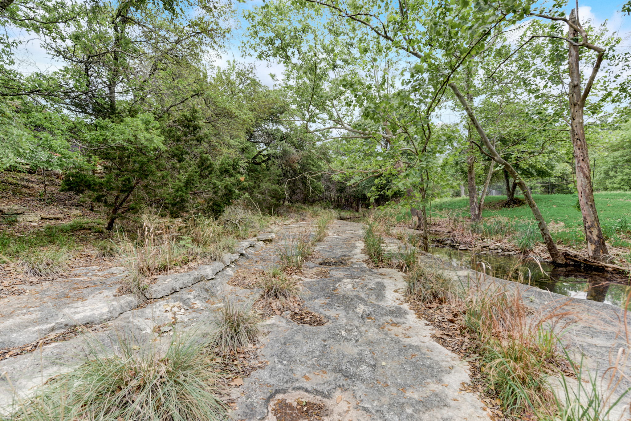 Cottonwood Creek Dr-035