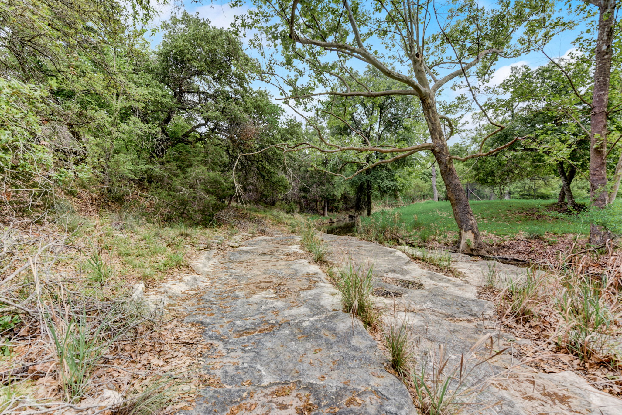 Cottonwood Creek Dr-036