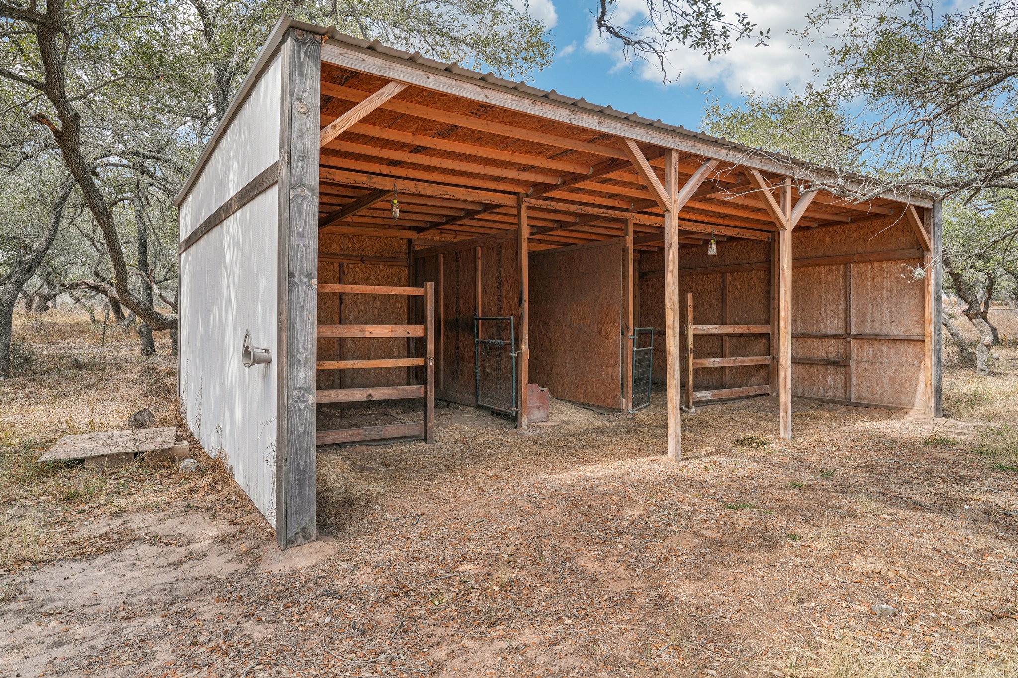 Quail Run-S0402-054.jpg